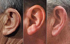 10 érdekes tény a fülről