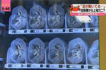 10 rendkívüli dolog, amit Kínában lehet vásárolni