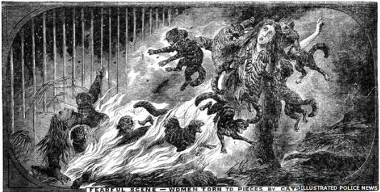 _71735015_women-macska