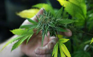 A hét 5 legkülönlegesebb hír