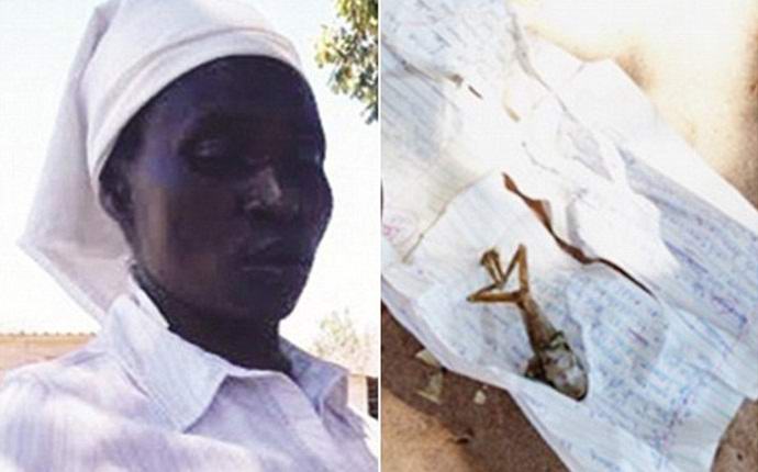 Afrikai béka szült?