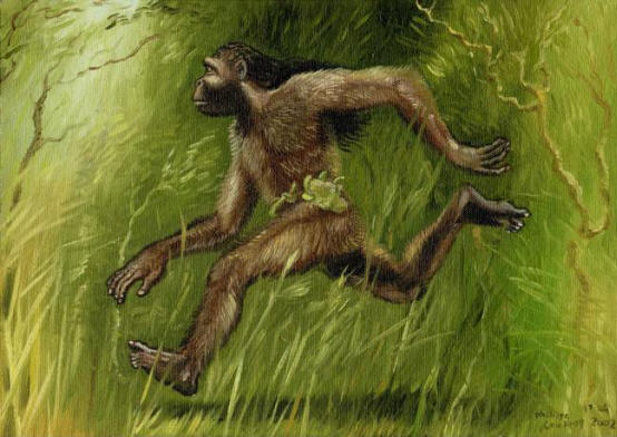 Agogwe: Az afrikai Shaggy Törpék titka