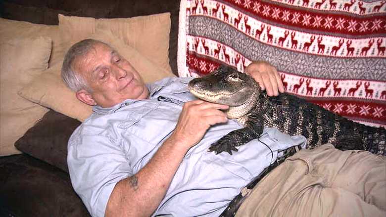 Aligátor - gyógyszer a depresszióra