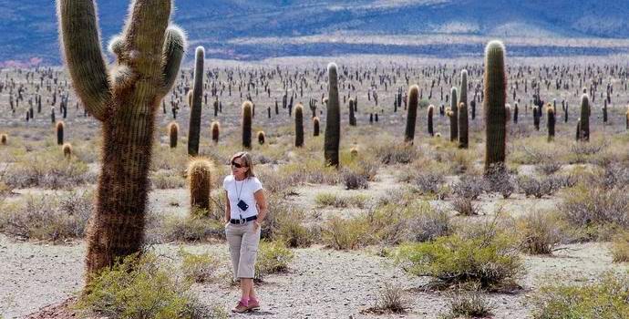 Az amerikaiak nyom nélkül eltűnnek a nemzeti parkjaikban