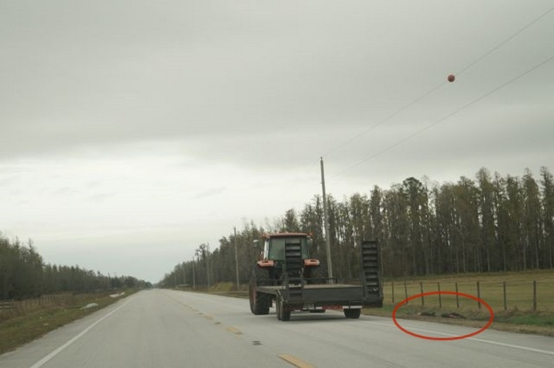 Az amerikaiak az oldalán két vaddisznót találtak, amelyeken az idegenek dolgoztak