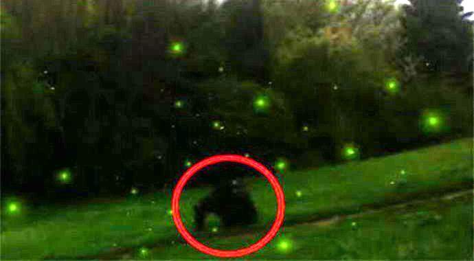 Az amerikaiak fényképezték a szentjánosbogarak üldözőjét title=