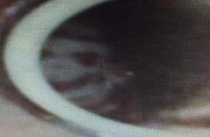 Az American megosztotta a szellemek fényképeit és videóit