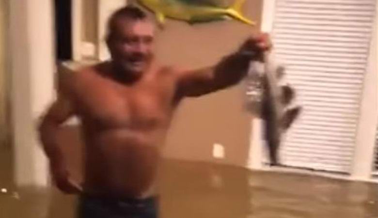 Amerikai fogott halak a saját nappaliban