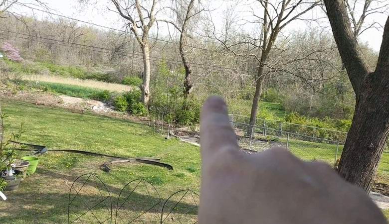 Az amerikai forgatta a furcsa fényeket az erdőben