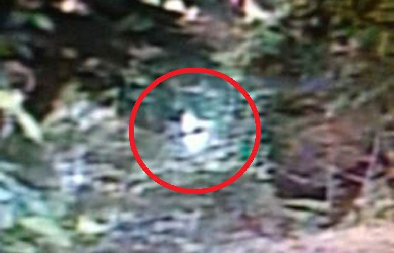 Amerika azt állítja, hogy fényképezett egy idegent