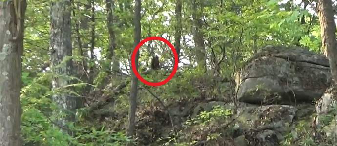 Az amerikai állítás szerint több hóembert fényképezett a videóban