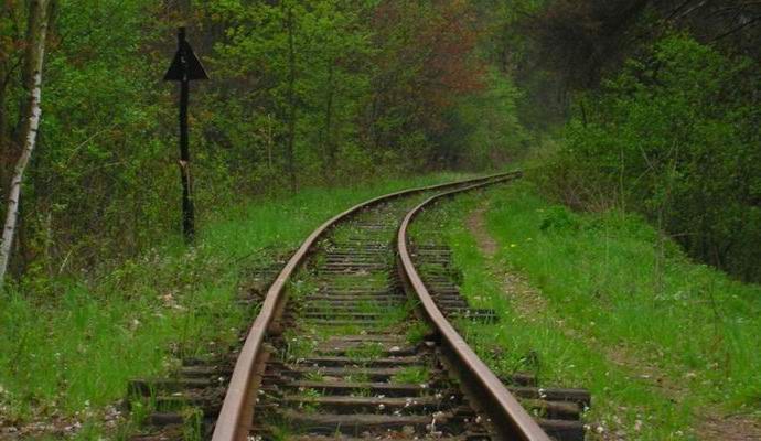 Egy amerikai, aki elindult egy mitikus szörny keresésére, rejtélyes körülmények között halt meg