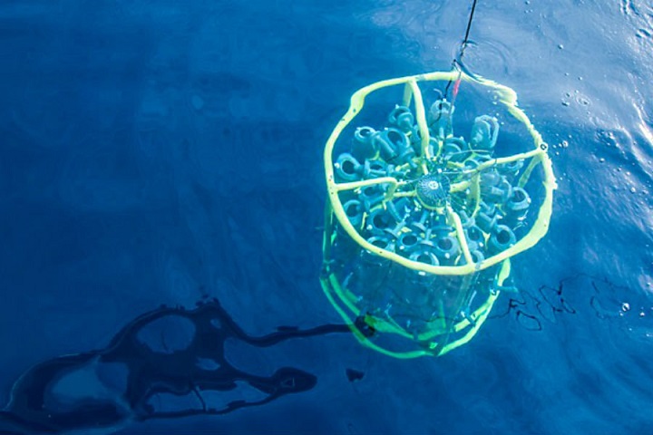 Az amerikai katonák újból kísérleteznek baktériumokkal