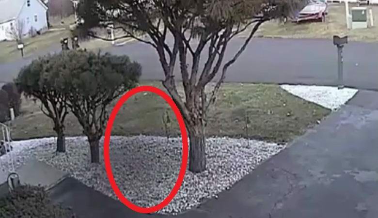 Az amerikai újságírók szellemet mutattak