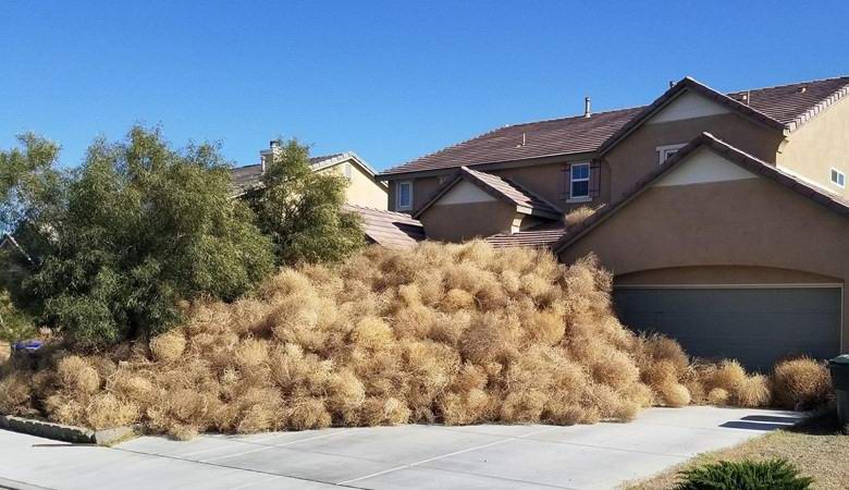 Tömegesen amerikai város