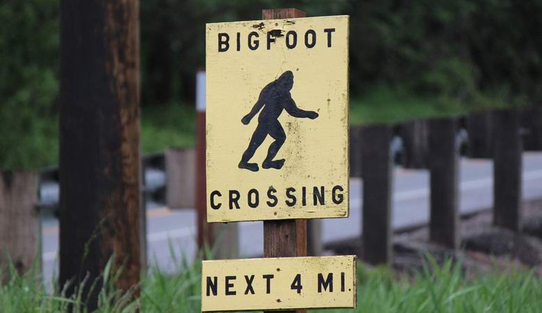 Az amerikai város a Bigfoot hivatalos állatának ismerte el