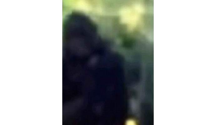 Az amerikai rendőr fényképezett yeti