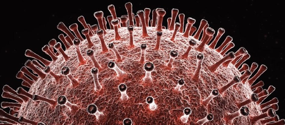 A genom elemzéséből kiderül, hogy a koronavírus két különböző vírus kiméra lehet 