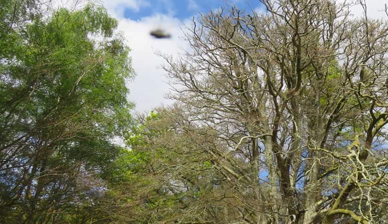 Az angol egyértelműen fényképezett