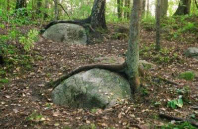 A Föld anomális központja