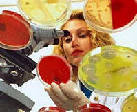 Az antibiotikumok lelassítják az öregedési folyamatot