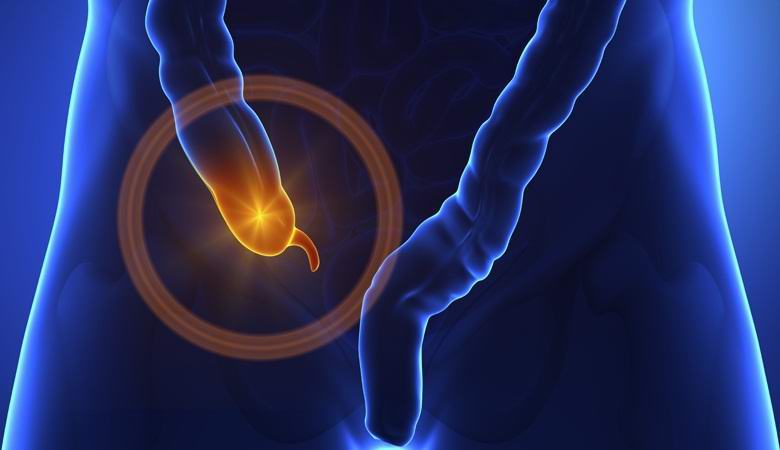 A függelék létfontosságú szervnek bizonyult