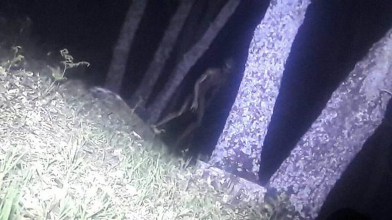 Az argentin rendőrség fényképezett egy idegent