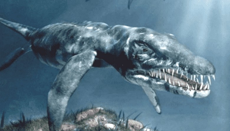 Az argentin Plesiosaurus megjelente a halászok videóját