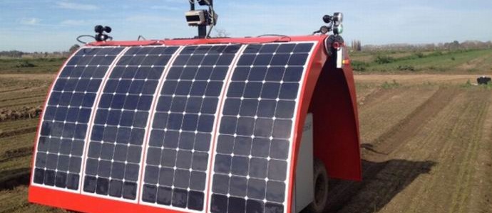 Az ausztráliai robotfelügyelőt hoztak létre a kertben