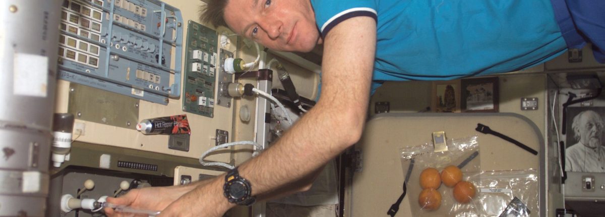 A Nemzetközi Űrállomás baktériumai nem veszélyesebbek, mint a földi törzsek 