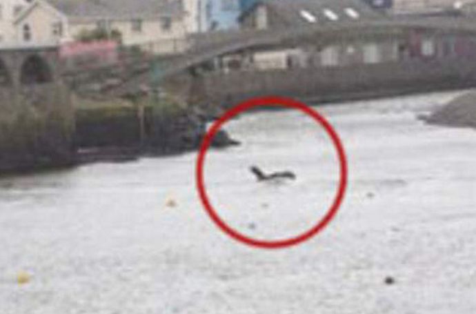 A Barmouth szörny versenytársa lehet a Loch Ness szörnynek