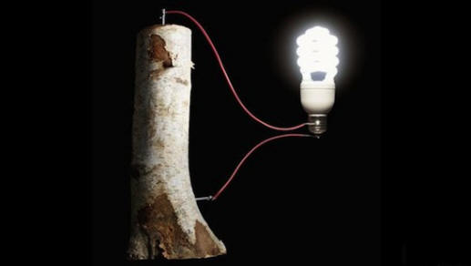 Az elemek fából készülhetnek