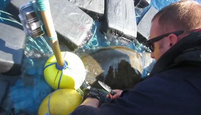 Az amerikai parti őrség elfogott egy teknősöt 800 kg kokainnal
