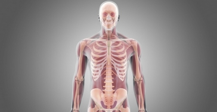 Az ember halhatatlansága - talán a közeljövőben