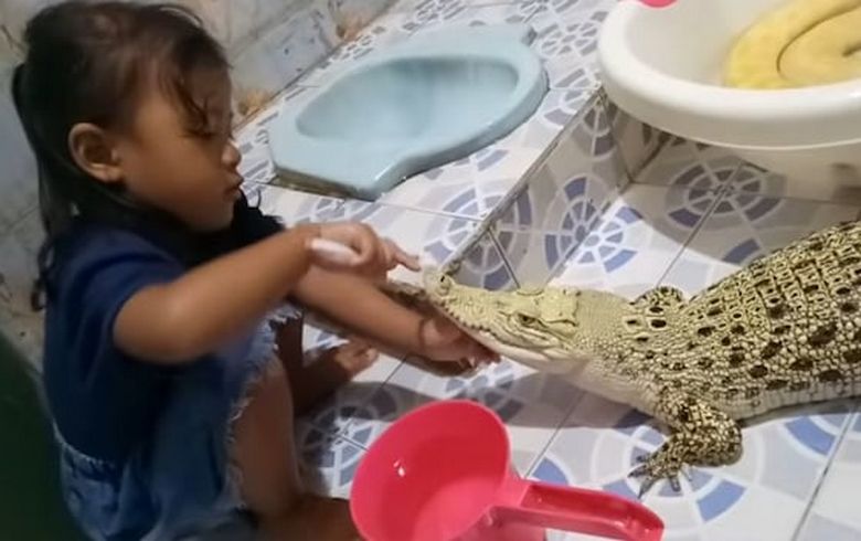 A félelem nélküli krokodil fogaitmosó lány