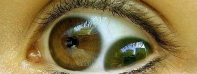 Van kettős tanuló?