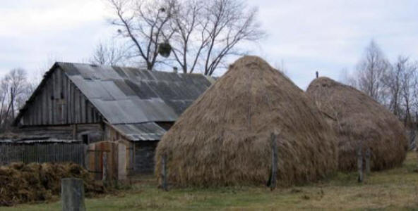 Szoros kapcsolat a külföldiekkel a Pinsk régióban