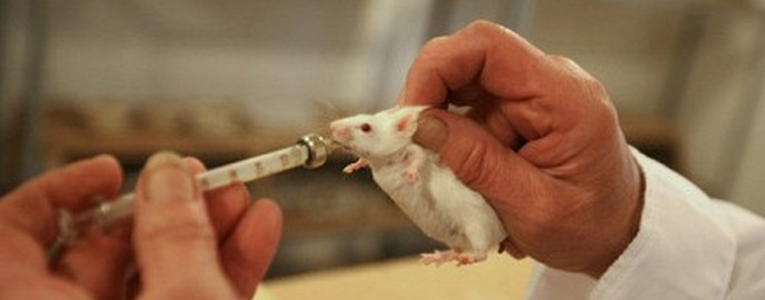 A fájdalmat fény gátolja.