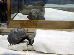 Brit tudósok: Tutanhamon balesetben halt meg