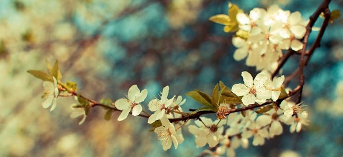 Mit akarnak a nők március 8-án ... és a férfiak?