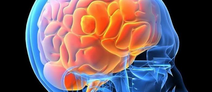 Az emberi agy képként emlékszik a szavakra