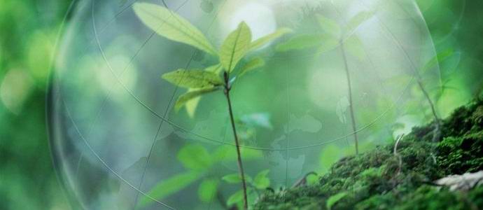 Az emberiségnek sikerült felhasználnia földi erőforrásait erre az évre