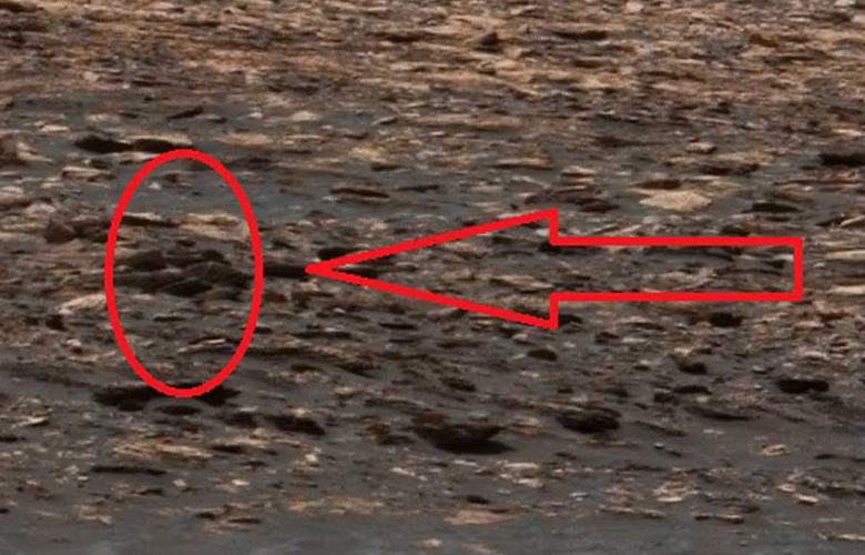 A Marson felfedezett humanoid alak