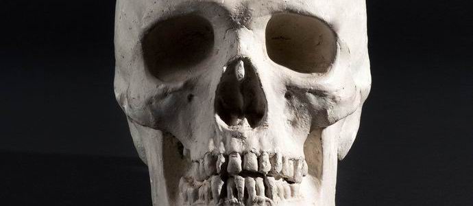 Egy koponyát ültettek először egy emberhez