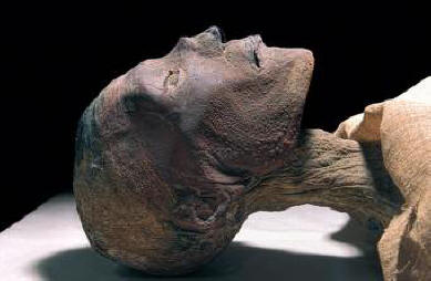 Mi bántotta ősi őseinket