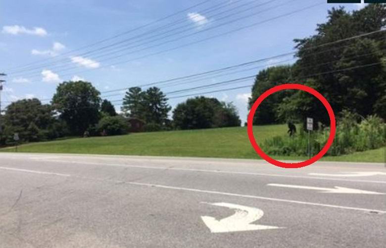 A fekete Yeti kijön az erdőből