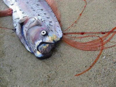 7b6327ddef90a886bf49469a43ed156a