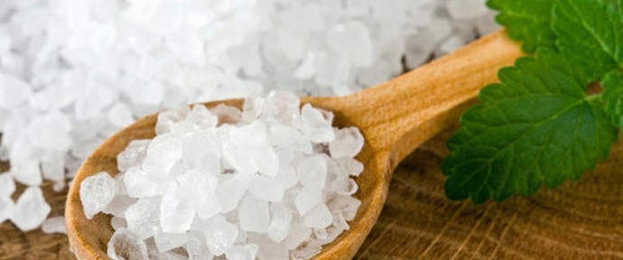 Mi a só és mit eszik?