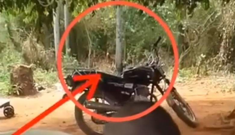 A szörnyeteg elérte a videót Paraguay-ban