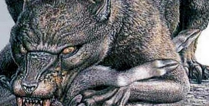 Chupacabra megjelent a Saratov régióban